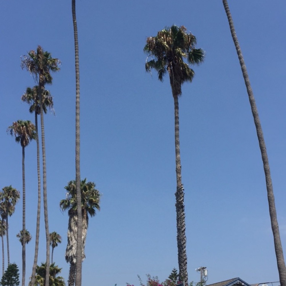 Meet your Posher, Georgia